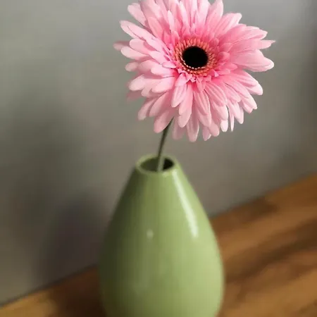 Apartman Outstanding Next To Messe Essen&dus *